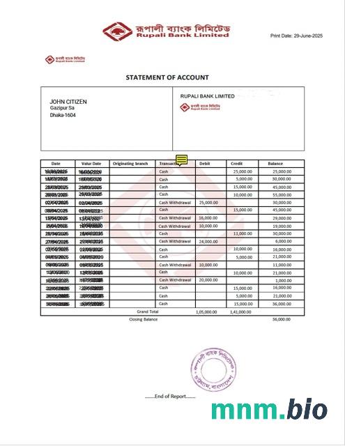 Bangladesz Prime Bank Limited wyciąg z konta Word i szablon PDF
